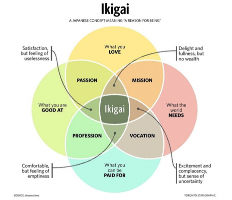 vòng tròn ikigai, tìm ý nghĩa cuộc đời, lý do sinh ra